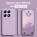 Grass Purple