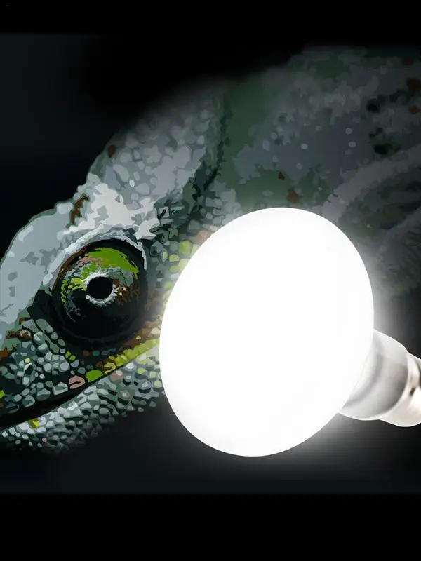 E27E26-100W-Ceramic-Heat-Lamp-Warm-Quality-Light-Bulb-For-Small-Pet-Turtle-Snake-Reptile-Brooder.jpg