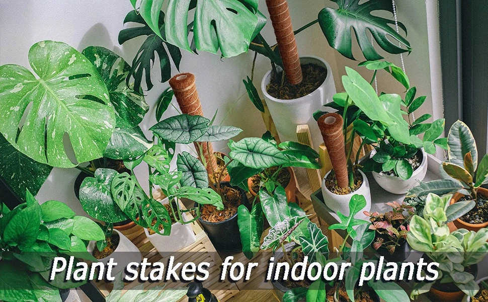 S714453b9a45749808ba284e3616a52bcb