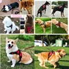 No-pull Strong Dog Harness Vest Harness for Dogs Small Medium Large Dogs Pet Accessories Corgi Chihuahua Shepherd Dog Supplies 3