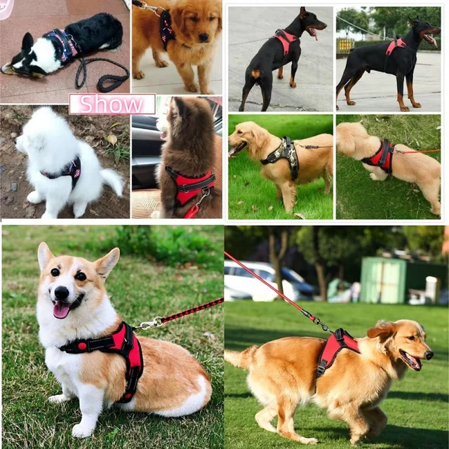 No-pull Strong Dog Harness Vest Harness for Dogs Small Medium Large Dogs Pet Accessories Corgi Chihuahua Shepherd Dog Supplies 3