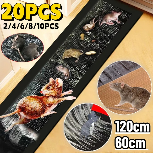 Buy Strong Non-toxic Mice Catcher Mouse Board Sticky Rat Glue Trap