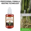 Fast Rooting Stimulator Plant Rapid Rooting Agent Root Stimulator For Plants Root Supplement For Houseplant Garden Supplies 1