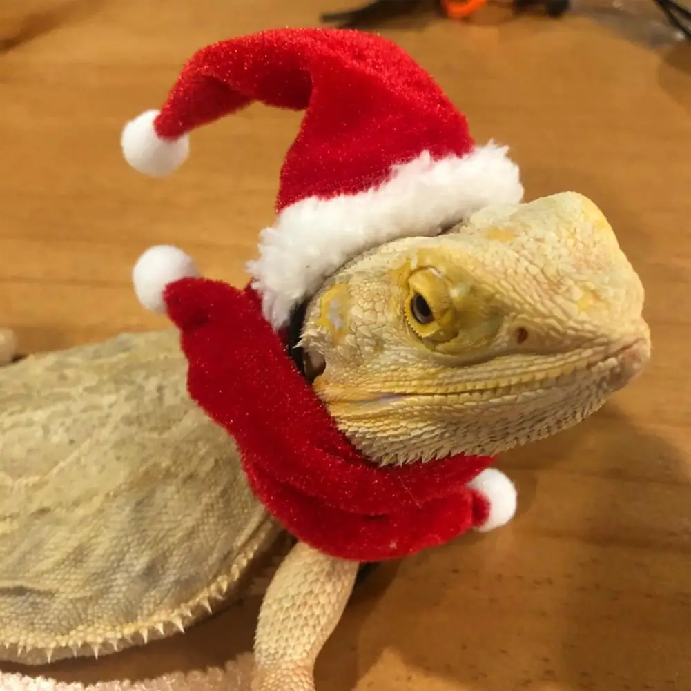 Pet Headgear Bearded Dragon Hats Soft Reptile Hats Skin-friendly Comfortable Lizard Head Wear Santa Cap