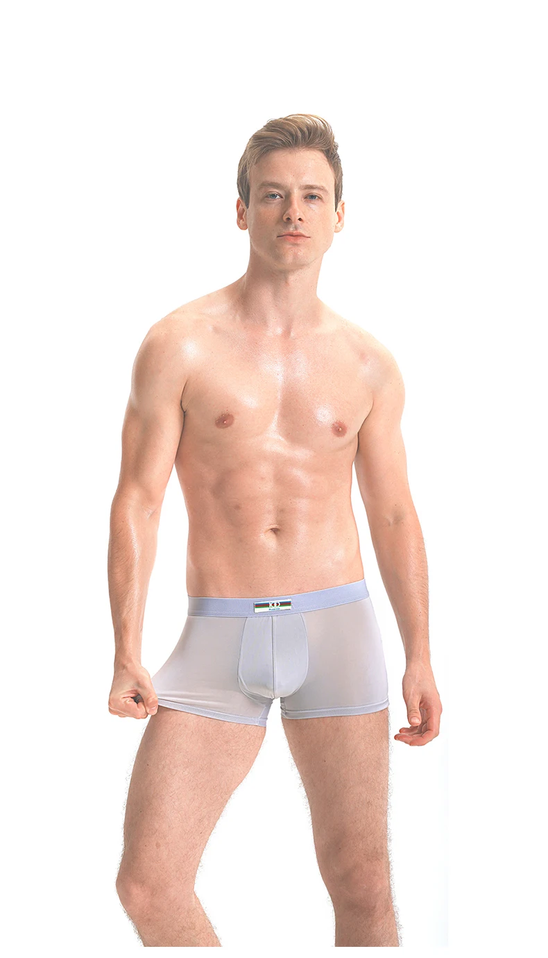 100  Men's Boxer Briefs Underwear Ice Silk Seamless Ultra Thin Breathable Panties Short Leg Underpants men lingerie gift box