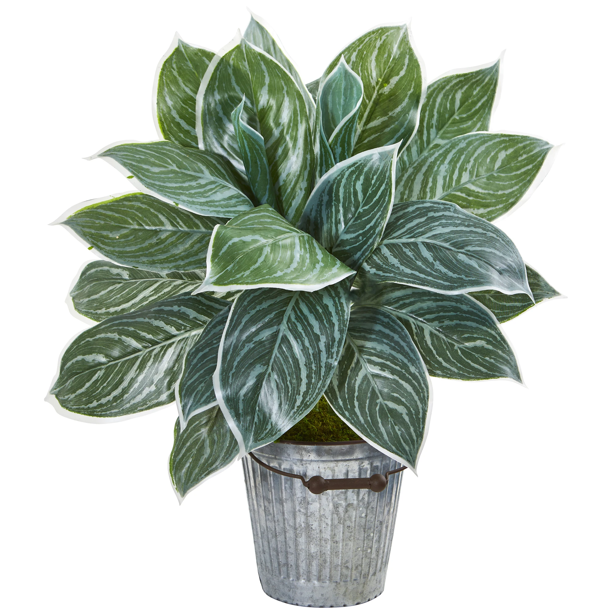 

24” Silver Aglaonema Artificial Plant in Decorative Bucket (Real Touch)