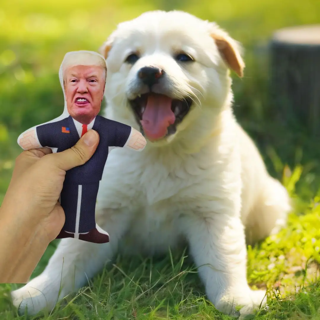 Donald Trump Political Parody Novelty Durable Dog Chew Toy with Squeaker bite resistant pet toys durable plush Squeak Dog Toys 2