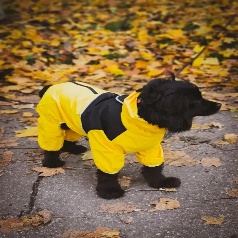 보더 콜리 래브라도 시바 이누용 야외 비오는 날 대형견 우비 - 네발 방수 및 ..