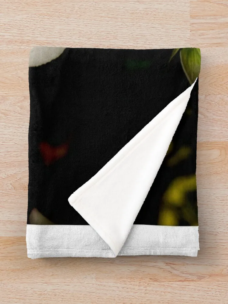 �� �ε巯�� ���� ���� ���� ���, ũ�������� ����, sqr ������ ���, ���� ���, �̵� ���