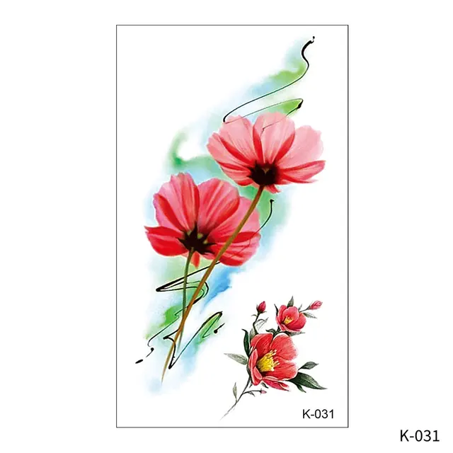 Image 37