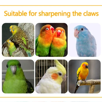 1PC Random Colors Parrot Perch Parrot Cage Accessories Bird Perch Stand Toy Colored Quartz Sand Sharpen Paw Toy Fit For Birds - Image 4