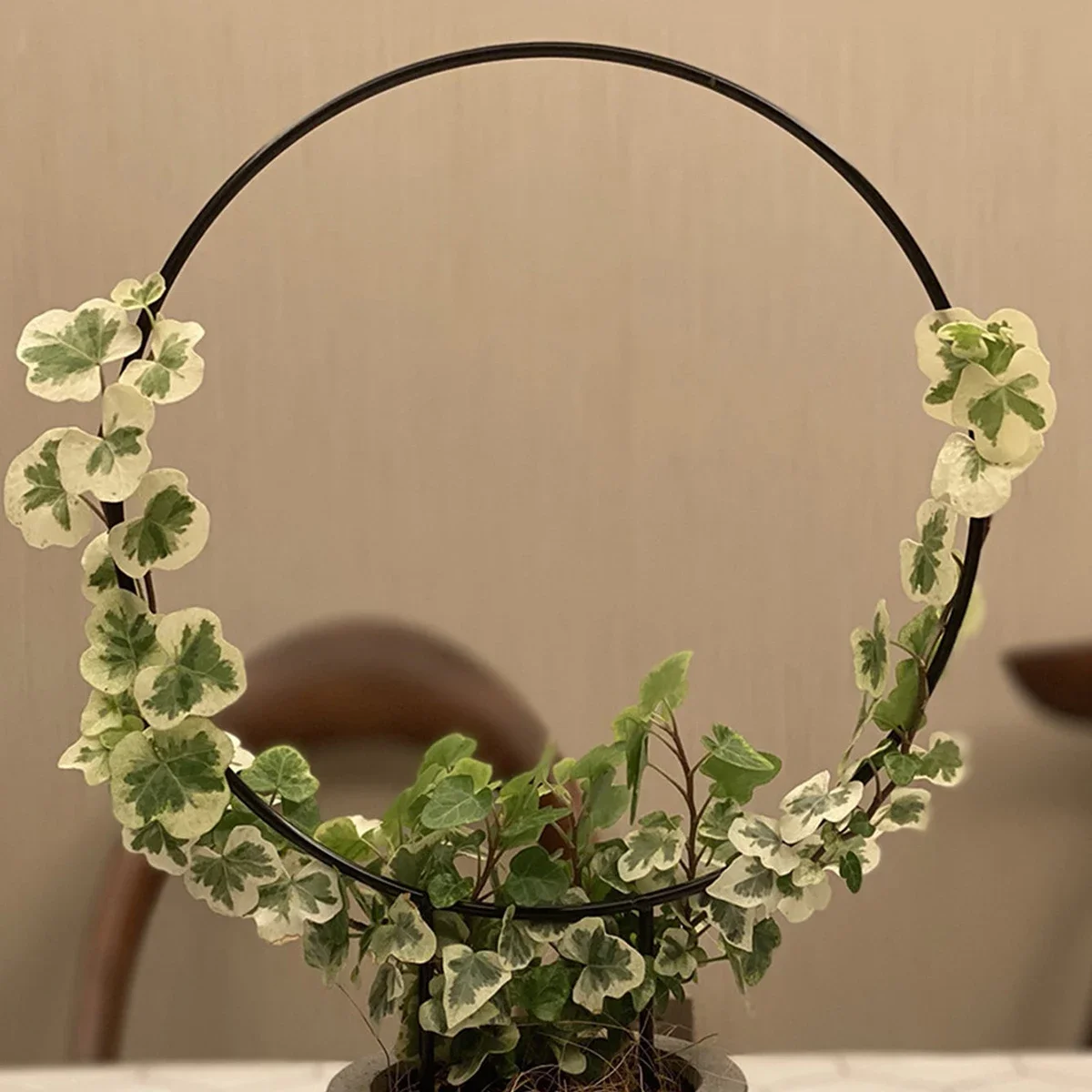 Heart-Shaped Garden Plant Support Stake-Circular Vine Climbing Frame