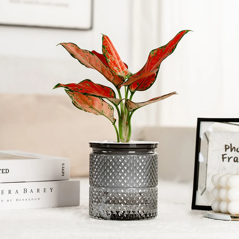 1Pc Self Watering Flowerpot 4