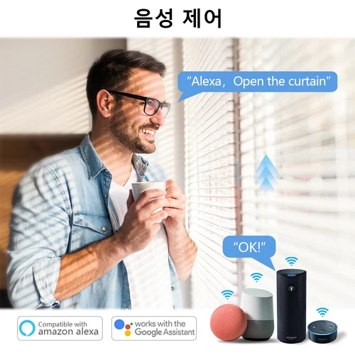 LoraTap 투야 스마트 라이프 와이파이 커튼 블라인드 스위치 롤러 셔터, 모터 스위치 백라이트 스타일, 구글 홈 알렉사 음성 제어 2