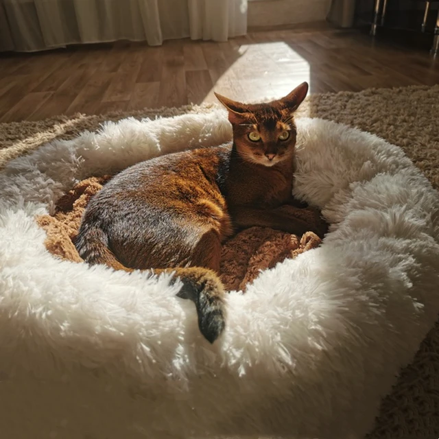 Warm Pet Bed pets