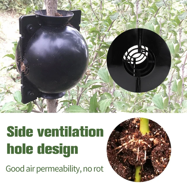 5 db Újrafelhasználható Vágás Oltó Gyökérgömb Gyökér Gyökérgolyó Tenyésztés Csemete Szaporodási Doboz Kerti Növény Termesztési - Image 3