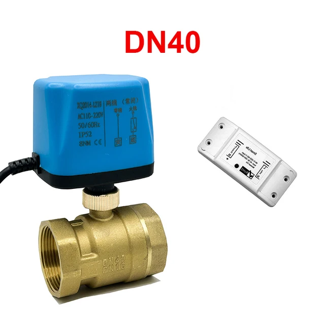 DN40