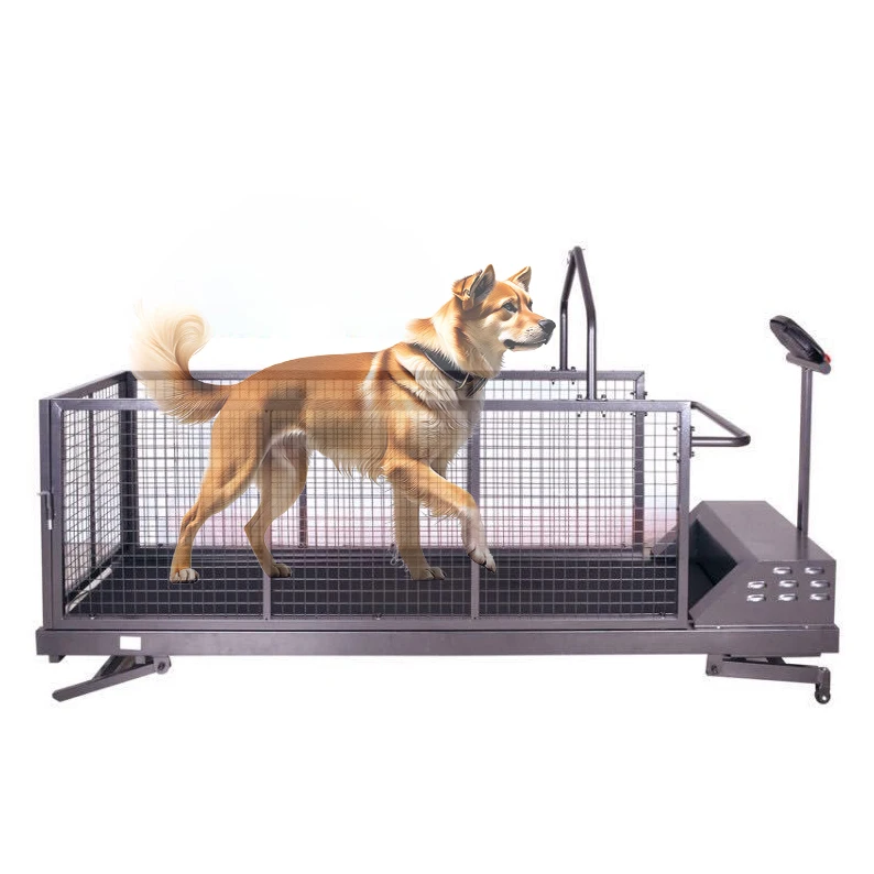 Hot Sale Pet Walking Electric Treadmill For Dog Training Adjustable Front Rear Lifting Incline Running Machine