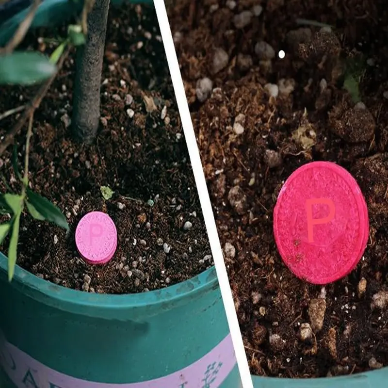 Slide image 1607d8fb30424c1f90d4de586d65ba94