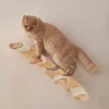 Cat Wall Climbing Steps Shelves Wall Mounted with Reversible Four-Stairs Cat Tree Scratching Post Steps Sisal Rope Accessories