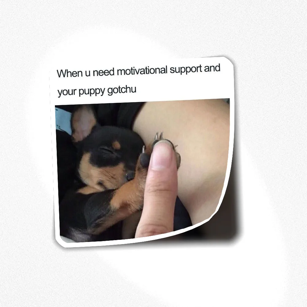 

Наклейка с собакой и мемом 033, наклейка для декора ноутбука, спальни, автомобиля, милое мультяшное искусство, модный общественный чемодан