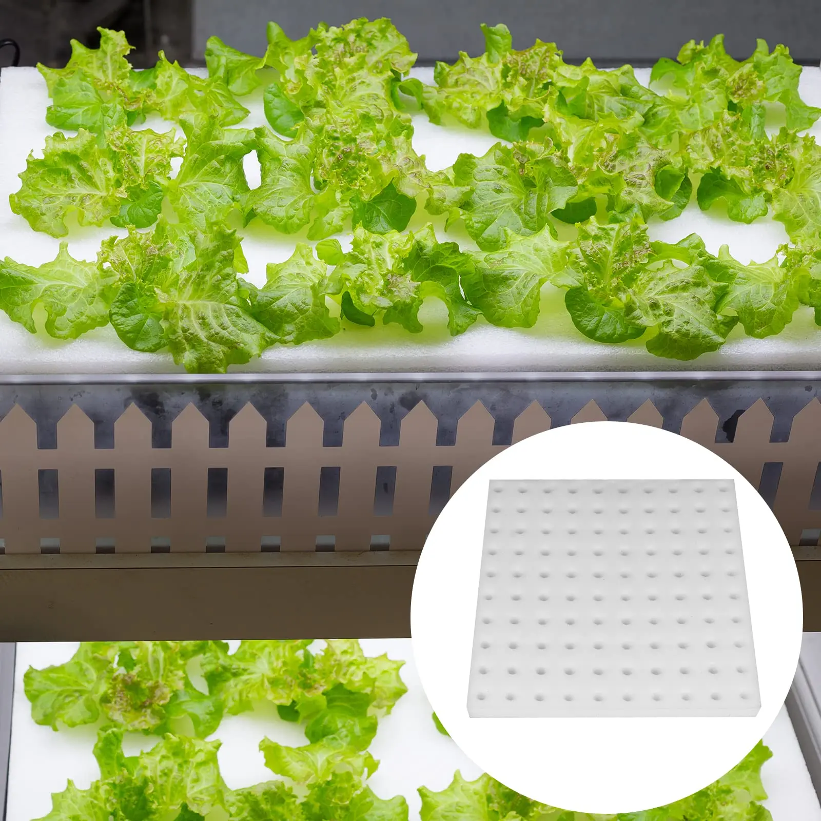 1/2/3/5/10pcs 250mm by 250mm Nursery Sponge Gardening Hydroponics Sponge Vegetables Hydroponics for Garden Supplies