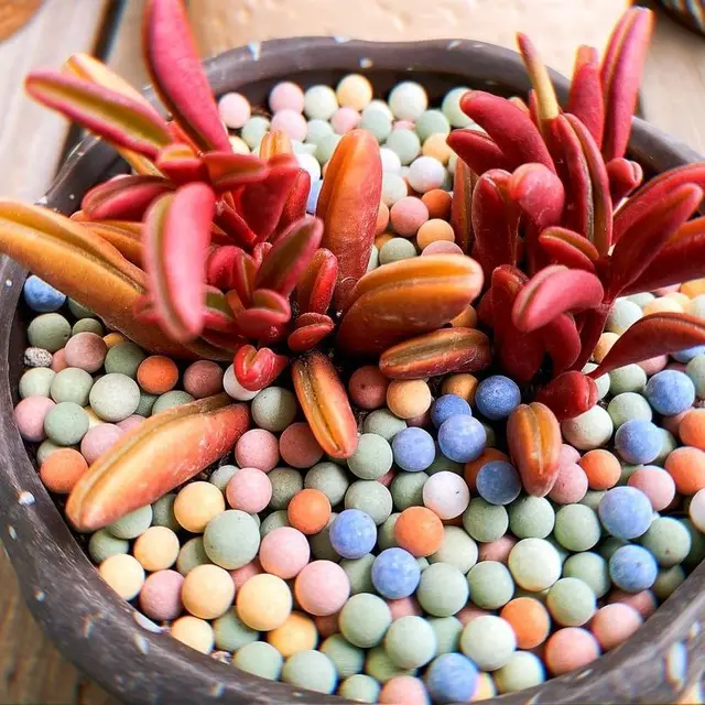 500 G Hidroponikus Növény Dekoratív Színes Ceramsite Kerámia Tabletta Zamatos Növényi Párnák