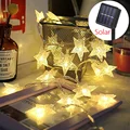 Star Warm