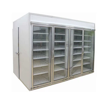 Cella Frigorifera Commerciale per Conservazione e Lavorazione di Alimenti Surgelati, per Pesce, Verdure, Gelato, Personalizzabile
