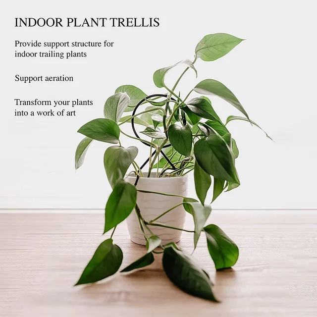 Plant Climbing Rack Plant Trellis Garden Plant Support Stake Stand Metal Vine Growth Flower Rattan Climbing Rack Garden Supplies 6