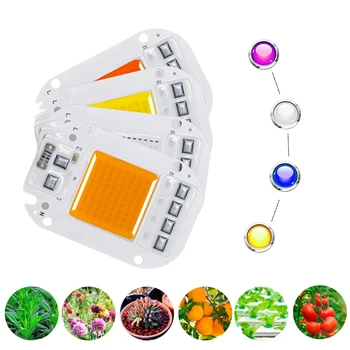 LED COB 램프 비드 드라이버리스 LED 전구, 실내 식물 묘목 성장 조명용, 홍수 조명용, DOB 칩, AC 220V, 20W, 30W, 50W