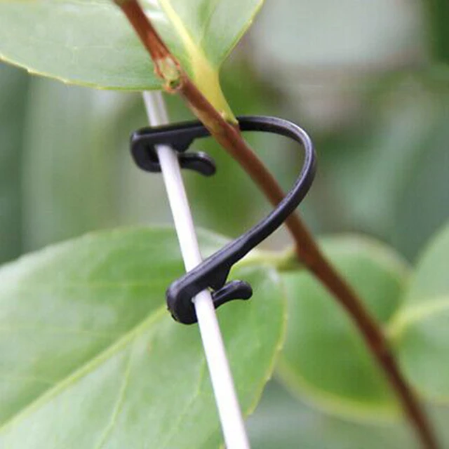 50 db Szőlő Rögzítő Kötött Klipek Csatolt Rögzített Kötőszerszám Zöldség Oltó Tartótámogató Klip Kerti Növény Szárak Rögzítőszeres Eszközök - Image 3