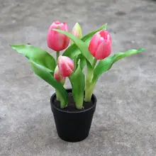 maceta tulipan – Compra maceta tulipan con envío gratis en AliExpress  version