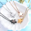 Dropshipping Stainless Steel Cremation Jewelry Five-pointed Star Shape Ashes Pendant Memorial Urn Necklace Jewelry 6