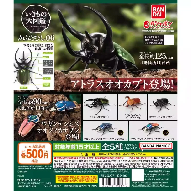 

Оригинальная большая биологическая карта Bandai Gashapon, Рогатый Жук Qversion, миниатюрная экшн-фигурка животного, модель, игрушка, подарок, коллекция
