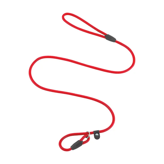 Pet Leash Rope Nylon Rope Pet Puppy Slip Lead Rope Dog Slip Leash Chain Collar Adjustable Dog Training Leash For Small Dog 4