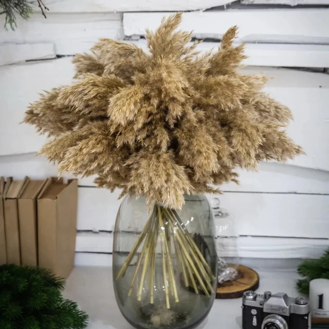 40PCS Black Pampas Grass Decor for Table Room Nature Dried Flowers Bouquet  Fluffy Pampas for Wedding Boho Flower Arrangements - AliExpress