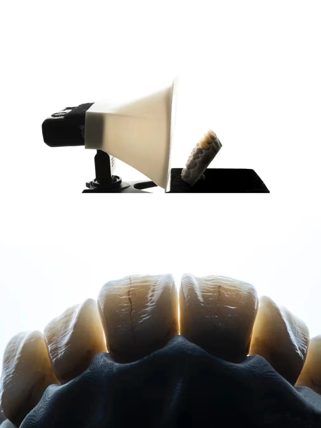 Double Flash Soft Light Studio Clinical Oral Black and White Background Tooth Effect Picture Macro Stack Lighting Shooting