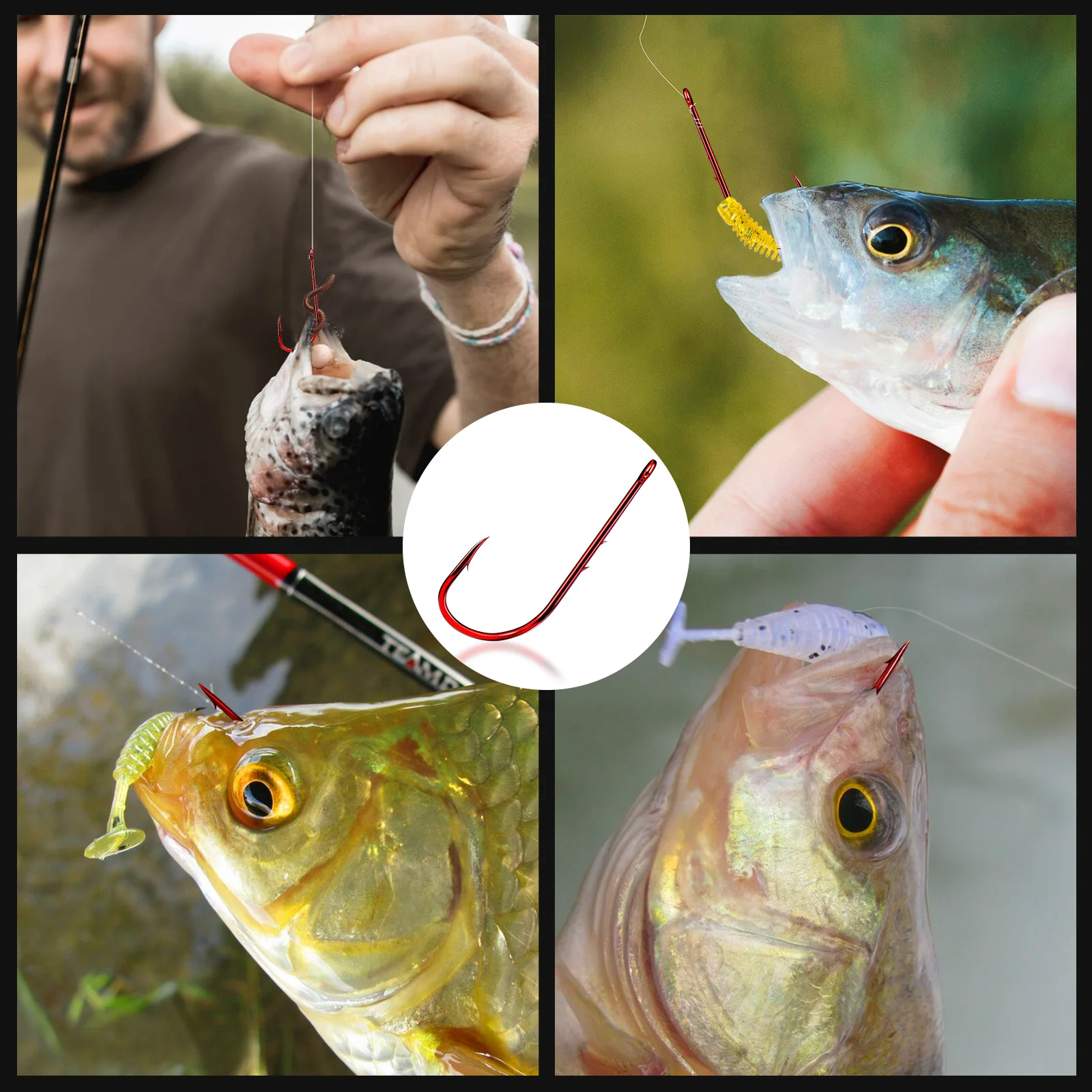 Long Shank Baitholder Hooks 6