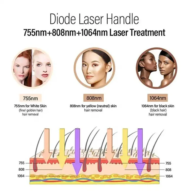 2 in 1 Professional Permanent Hair Removal Women Epilator Portable Hair Removal Tool Machine Body Face Leg Bikini Lip Depilator