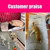 Pet Bed Puppy Accessories Beds for Dogs Convertible Sofa Bed's Dog Big Flannels Pets Supplies So Home Shop Everything Small Pup 5