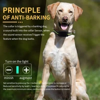 USB Rechargeable Dog Training Collars Auto Anti-Bark Collar Safety Static Shock 7 Sensitivity Level Nylon Collar Pet Supplies 4