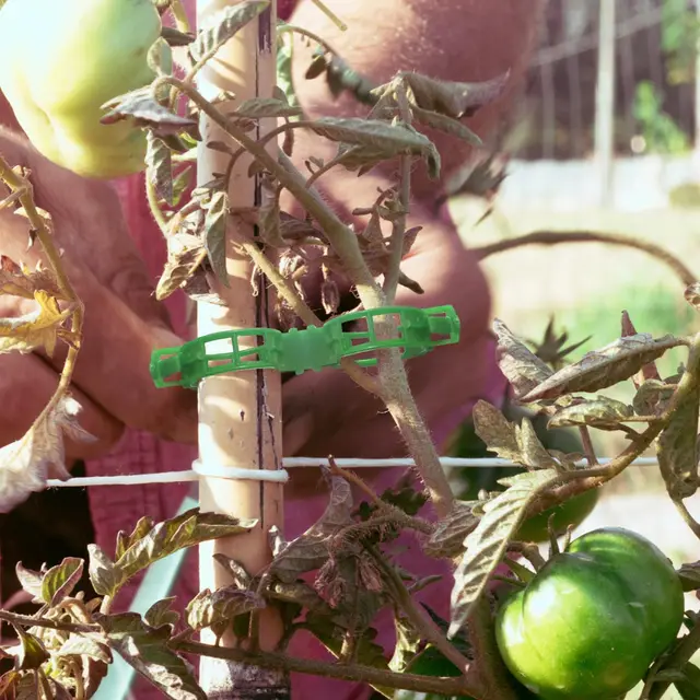 Plant Support Clips - Tomato Clips for String Trellis, Grape Vine Clips for Garden Climbing Plants Bundled Buckle Ring 5