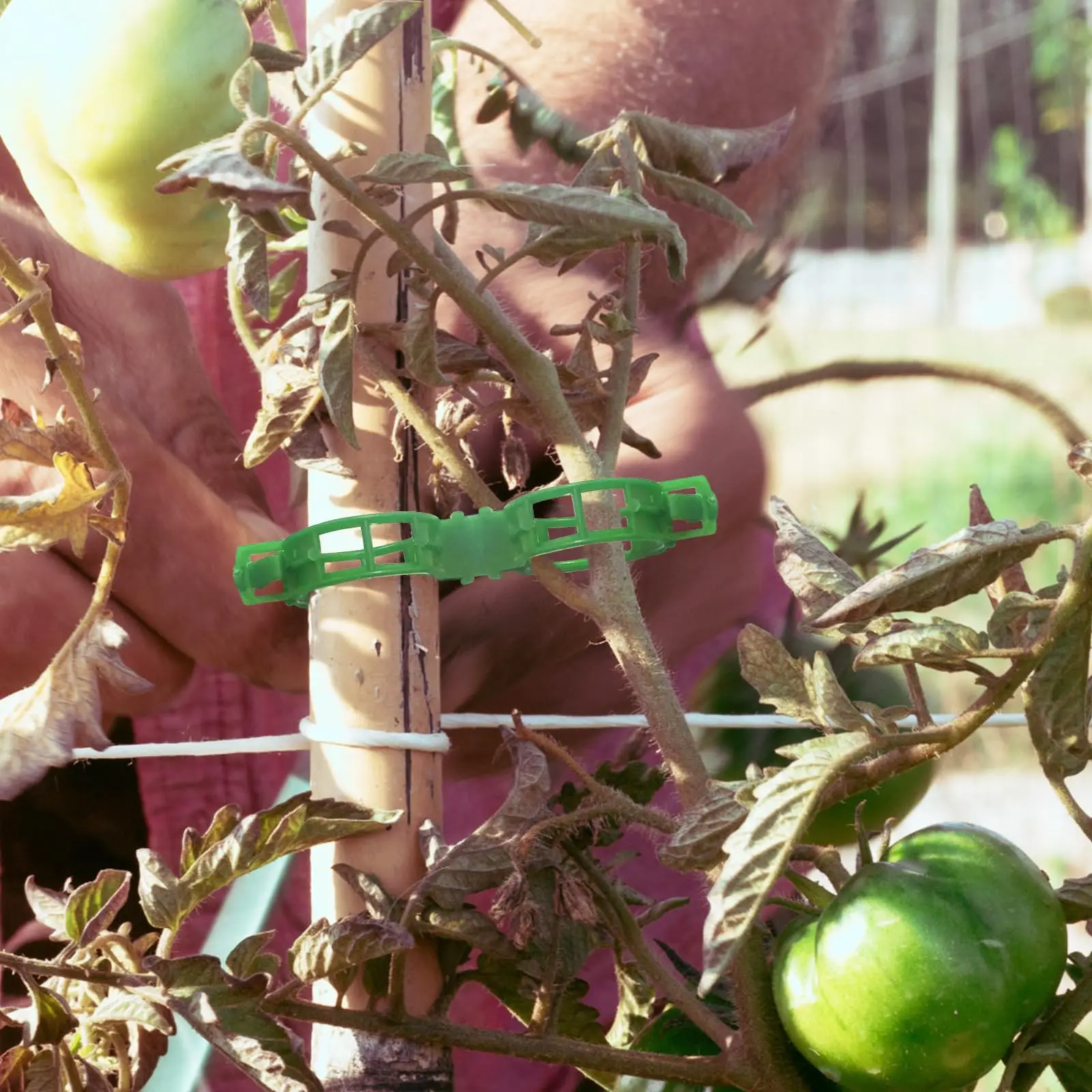Plant Support Clips - Tomato Clips for String Trellis, Grape Vine Clips for Garden Climbing Plants Bundled Buckle Ring 4
