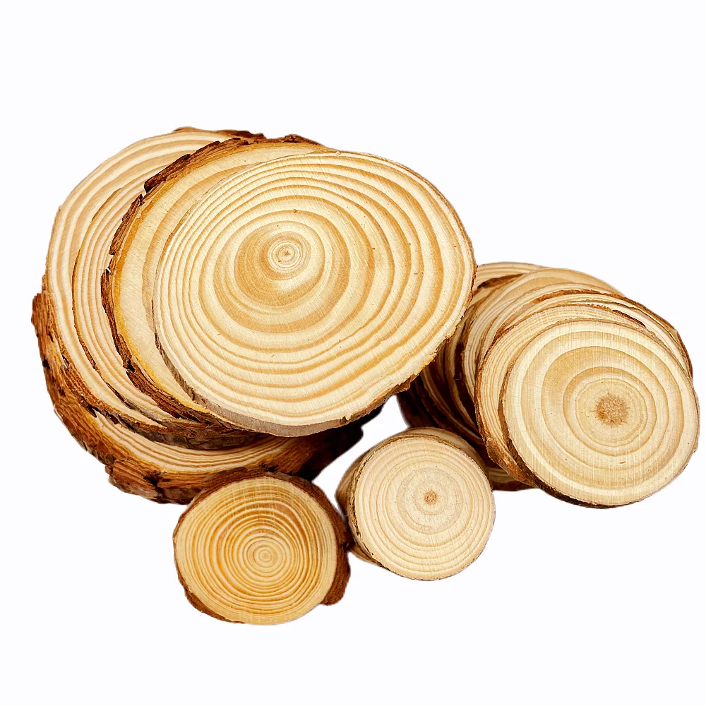 0.5-1cm Thick & 3-12cm Diameter Natural Pine Wood Slices DIY Crafts