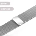 Silver Metal