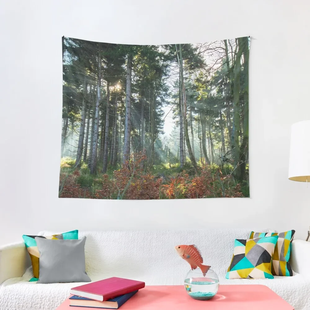 Great Owl Tapestry Korean Room Decor For Bedroom Tapestry