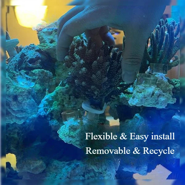 Acrylic Movable SPS Coral Frag Plug Stand Rack Bracket Fluorescence Coral Base Colored Fish Tank Decoration Accessories