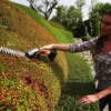 20V Power Share 4" Cordless Shear & 8" Shrubber Trimmer，Battery & Charger Included,WG801, Item Weight: 1.98 lbs,Battery Powered 6
