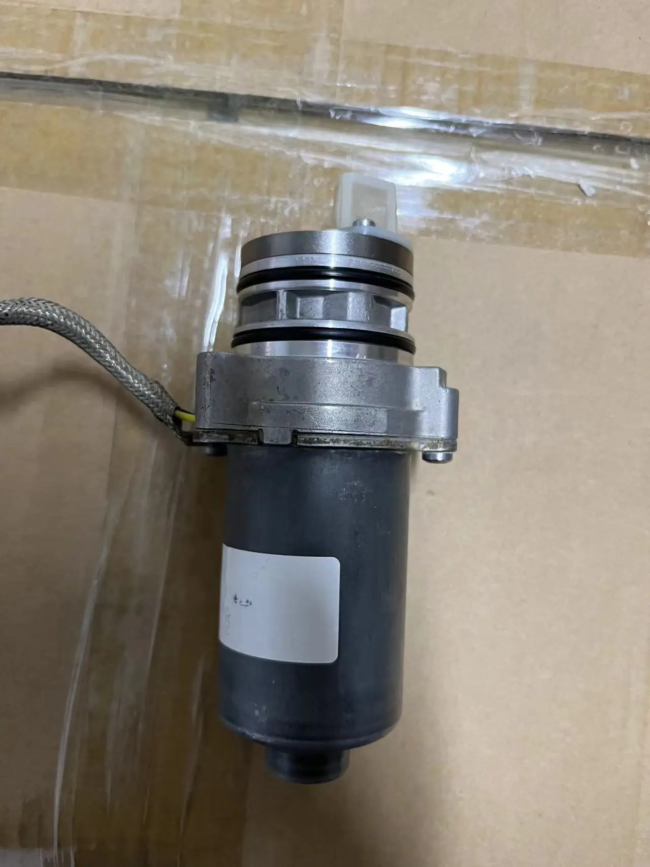 L-0CQ598549.jpg